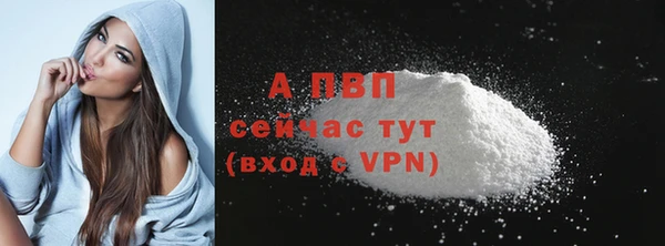 PSILOCYBIN Переславль-Залесский