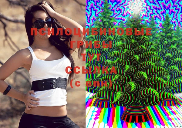 скорость mdpv Пестово