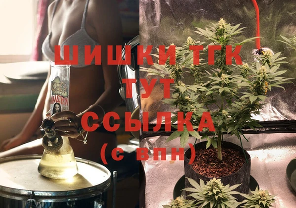 PSILOCYBIN Переславль-Залесский