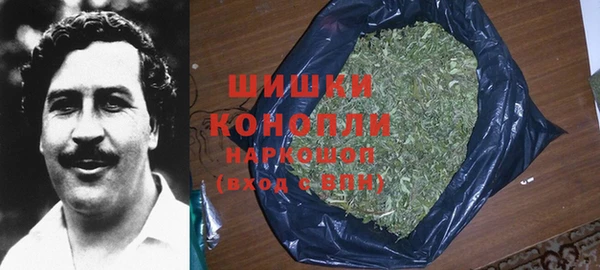 PSILOCYBIN Переславль-Залесский