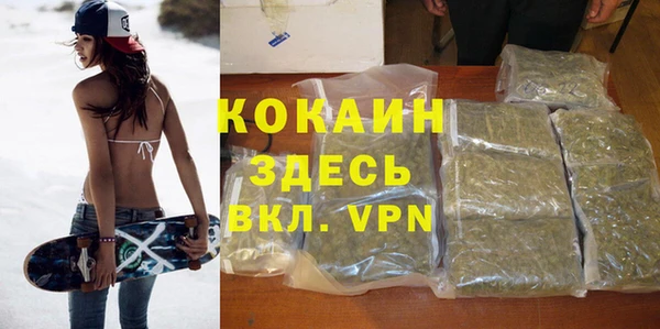 гидропоника Пересвет