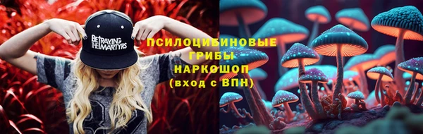 PSILOCYBIN Переславль-Залесский